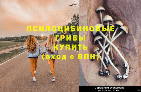 стаф Осташков