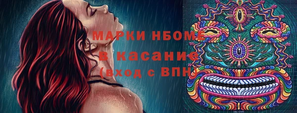 амф Арсеньев