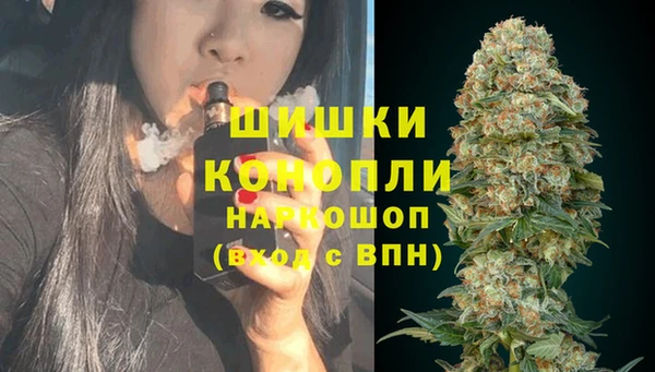 амф Аркадак
