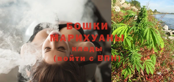 амф Аркадак