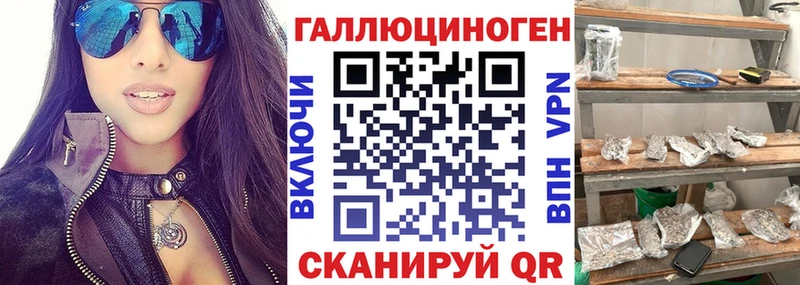mega зеркало сколько стоит сайты даркнета Telegram Псилоцибиновые грибы мухоморы Спас-Деменск